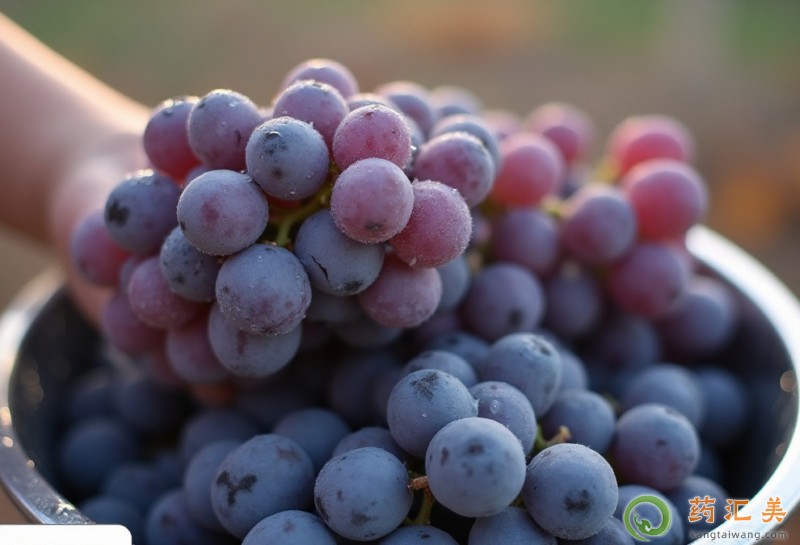 ʧ�߳����Ѻ�