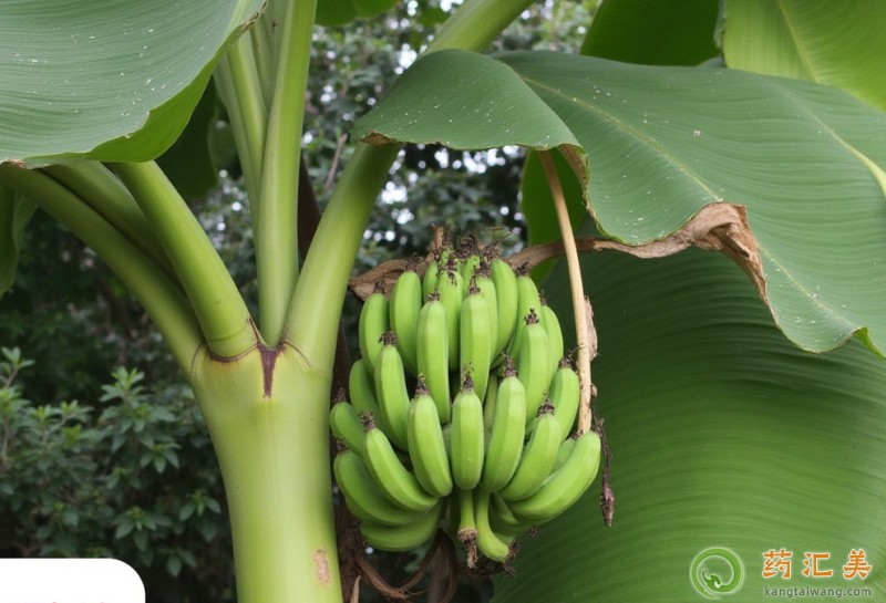 ʧ�߿��Գ԰Ž���