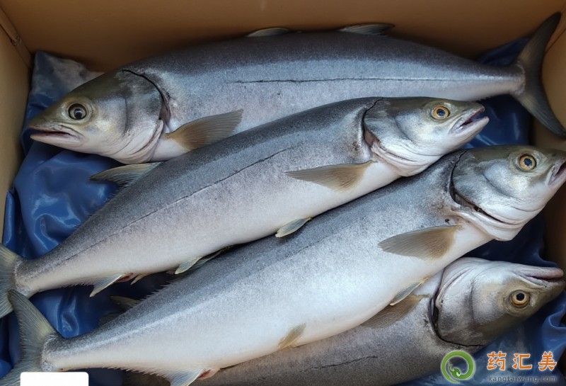 失眠可以吃鲅魚嗎 失眠可以吃鲅魚嗎