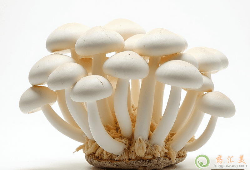 ʧ�߿��ԳԼ���