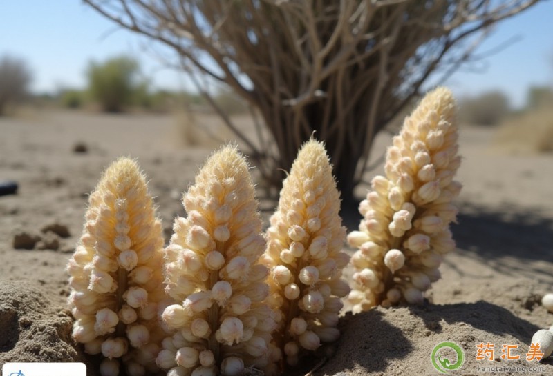 ��ȫ���a(b��)�Iʳ���ȫ