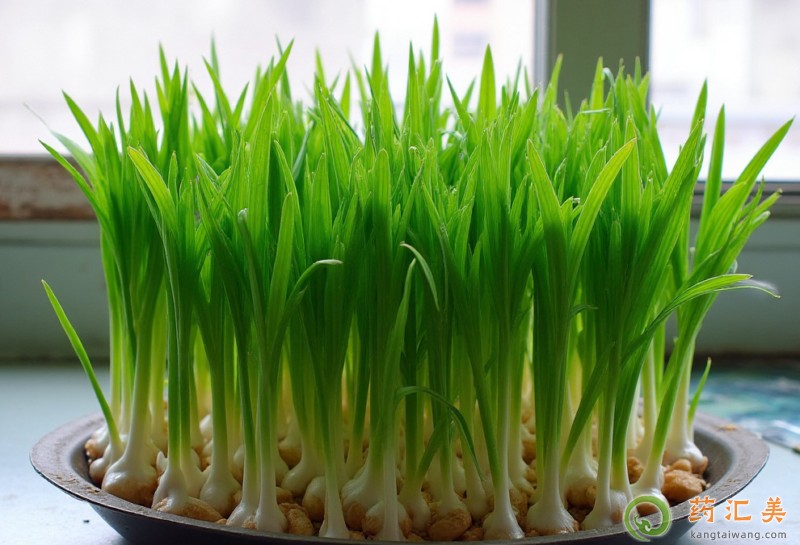 �����׻֏��ڿ��ԳԴ����~��