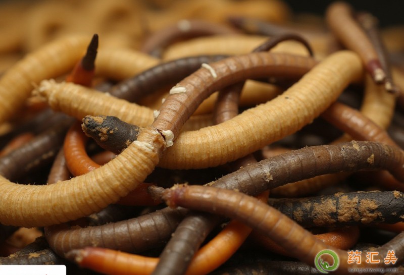 �a�I��ꖳԶ��x�Ĳݺ�