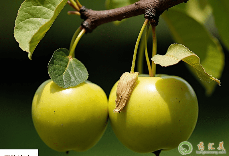 ʧ�߿��ԳԾ�����