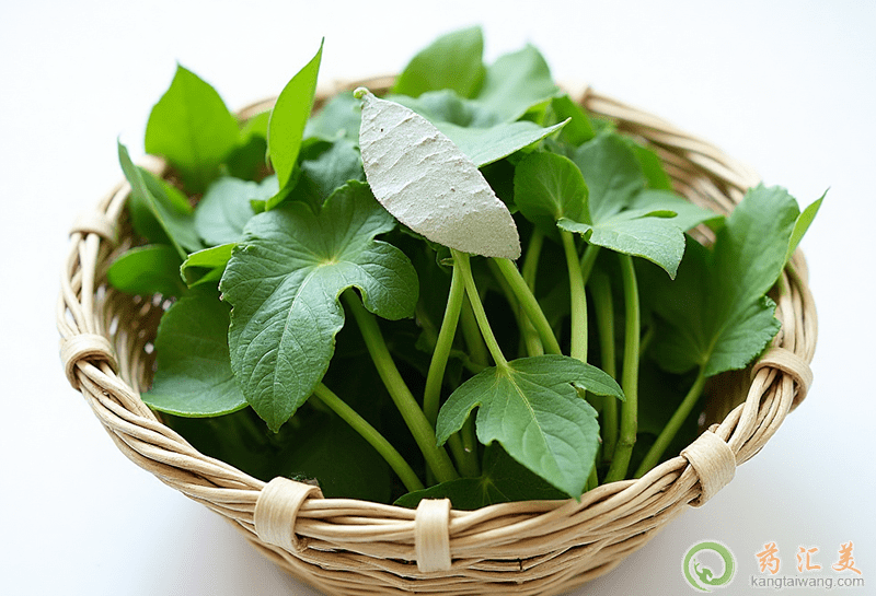 ʧ�߿��ԳԼt���~��