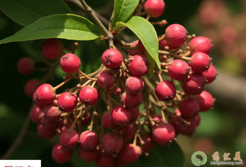 ʧ�߿��ԳԻ����͆�