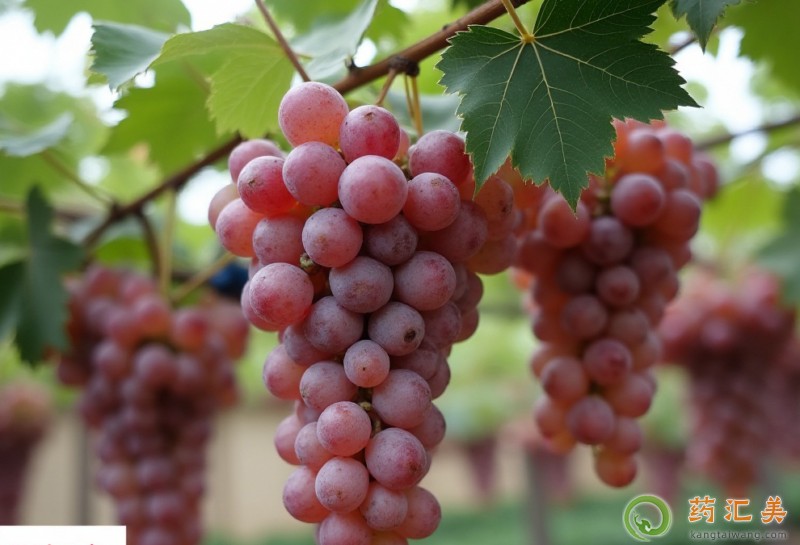 ʧ�߿��Գ����ц�