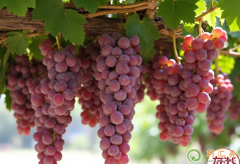 θ�׳����Ѻ�