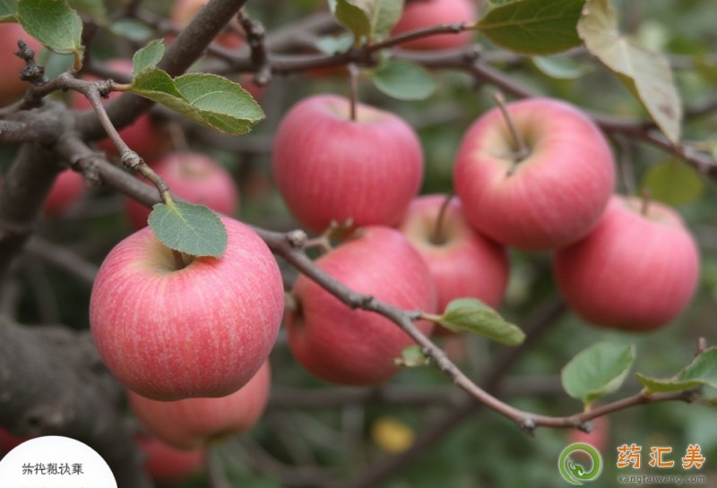 ���Ͽ��Կո����O����