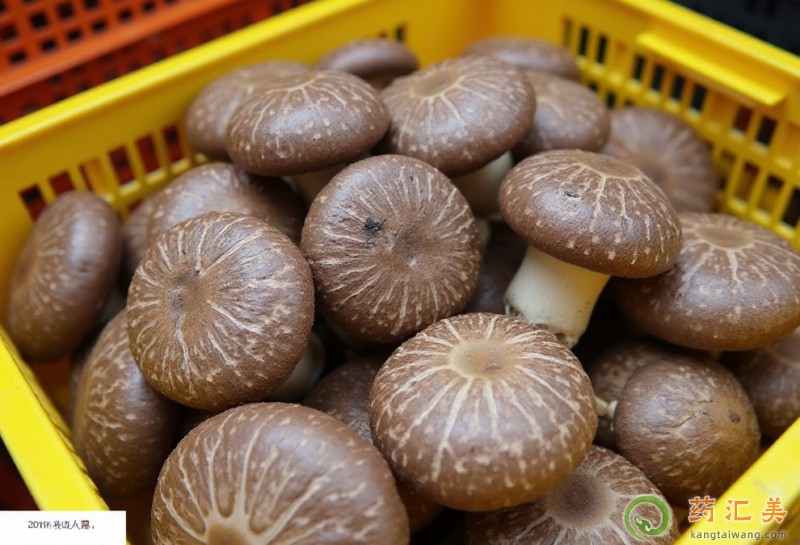 �㹽��ʲô��˲���һ���