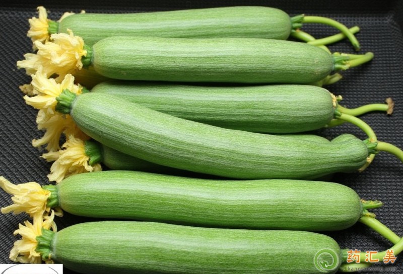 胰腺炎恢復期可以吃絲瓜嗎 胰腺炎恢復期可以吃絲瓜嗎