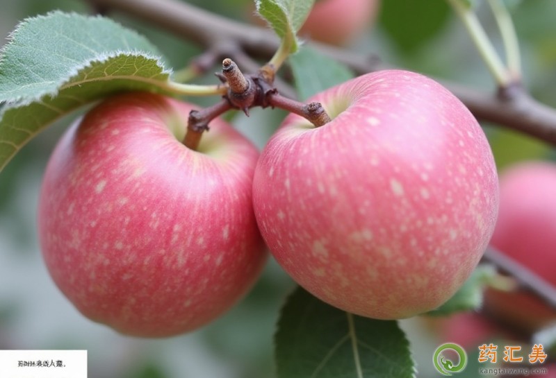 �O���cʲôʳ����˲���һ���