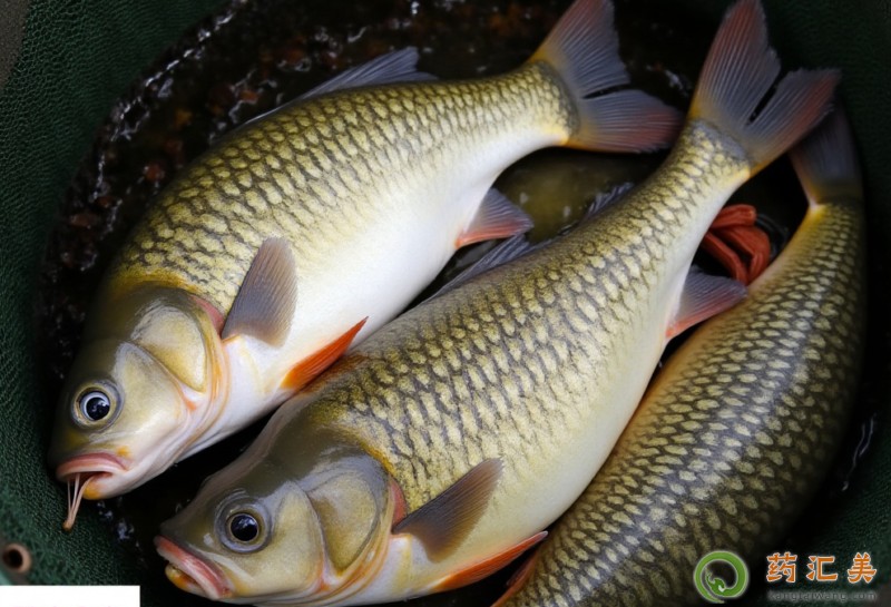 ���~�cʲôʳ����˲���һ���