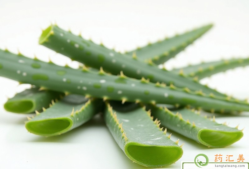 胰腺炎能吃蘆薈嗎 胰腺炎能吃蘆薈嗎