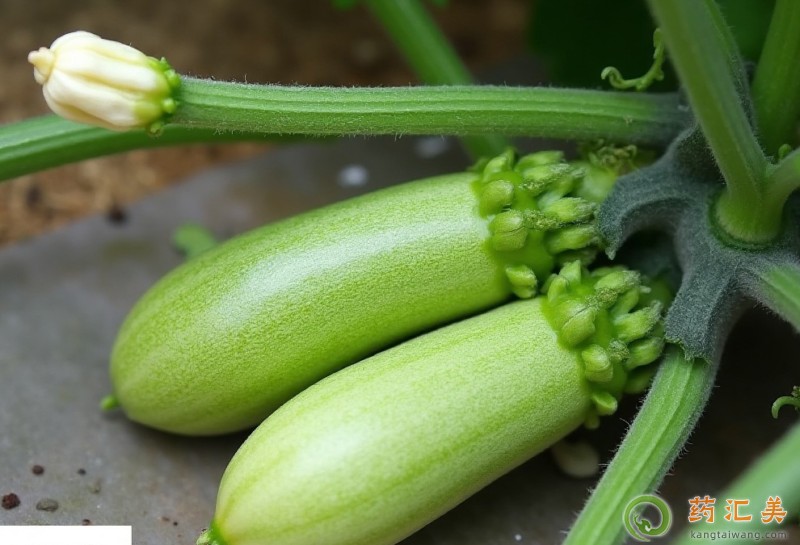 �������ܳ������J��