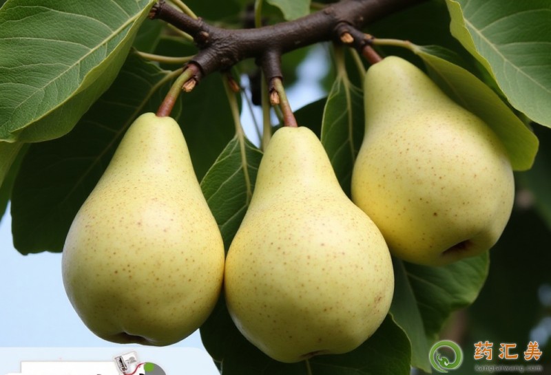 �����ʲôʳ����˲���һ���