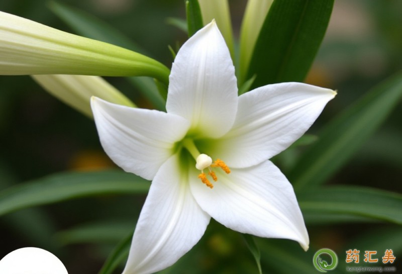 �ٺϺ�ʲôʳ����˲���һ���