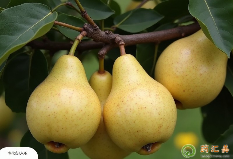 ���ʲôʳ����˲���һ���