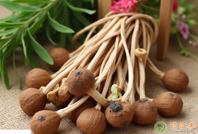 �������ܳԲ�乽��