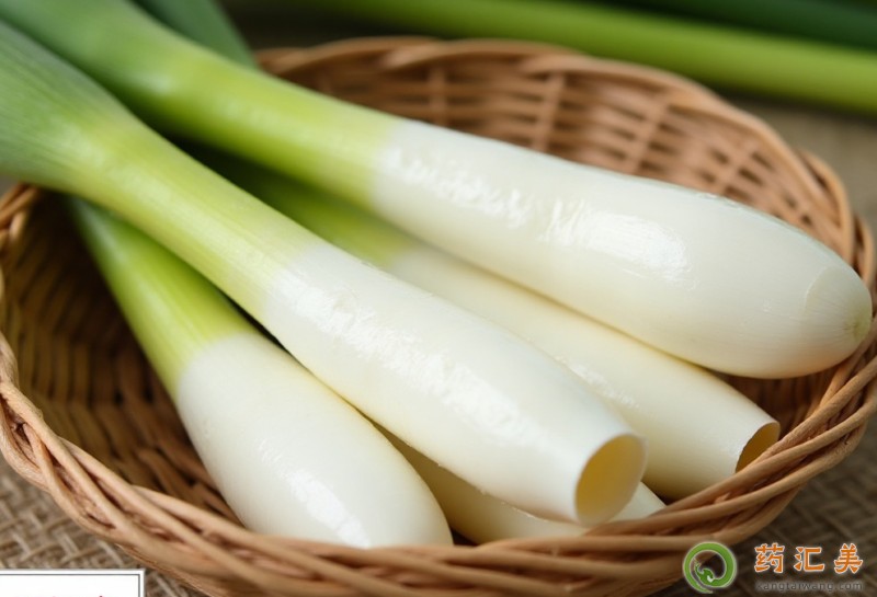 ���׺�ʲôʳ����˲���һ���