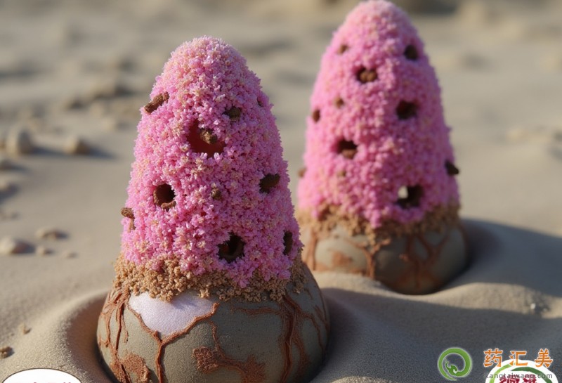 �i��a�I��ô���a�I��