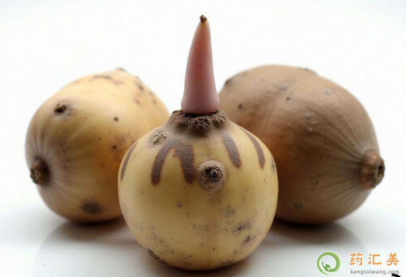 đ�Yʯ�ܳ�ħ���