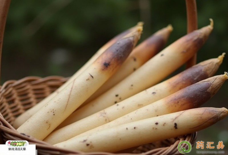 �����׻֏����ܳԴ��S��