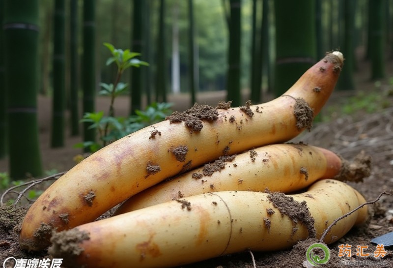 ���S�c���S��ʲô�^�e