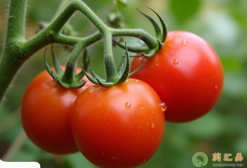 �����t����ʲô��̎