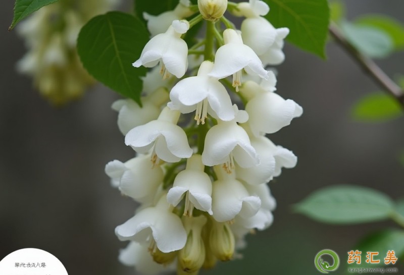 �Ի�����ʲô��̎