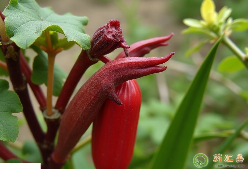 �������ܳ��S�����