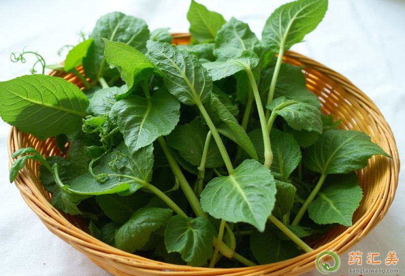 ���㶹����ʲô��̎