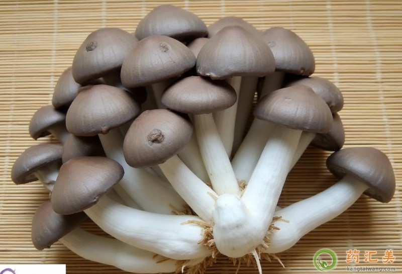 �������ܳ�ƽ����