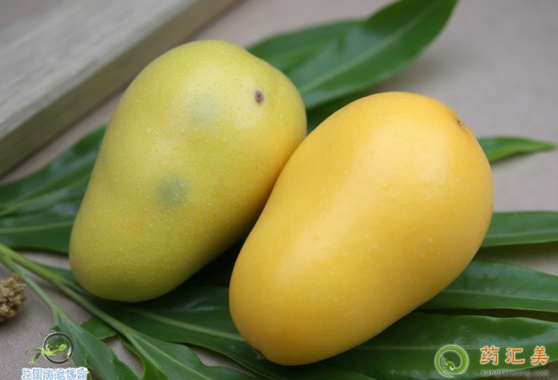 吃金煌芒果美容嗎 吃金煌芒果美容嗎