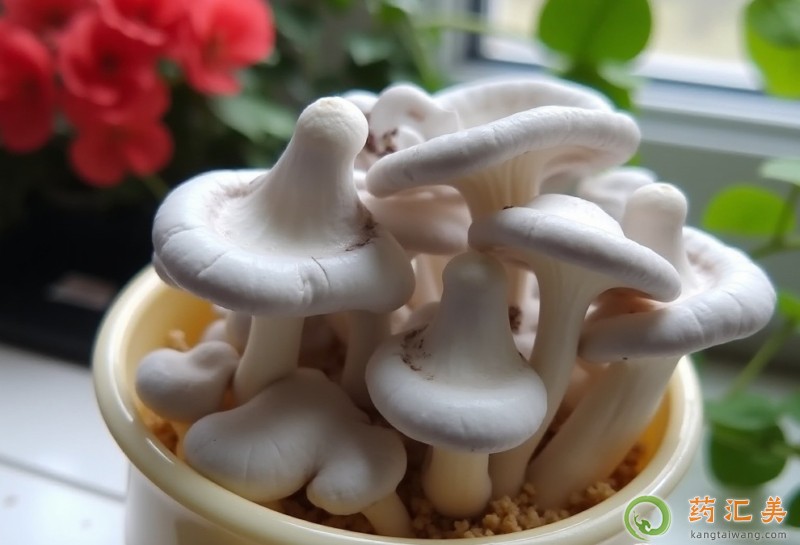 ��ƽ����ʲô��̎