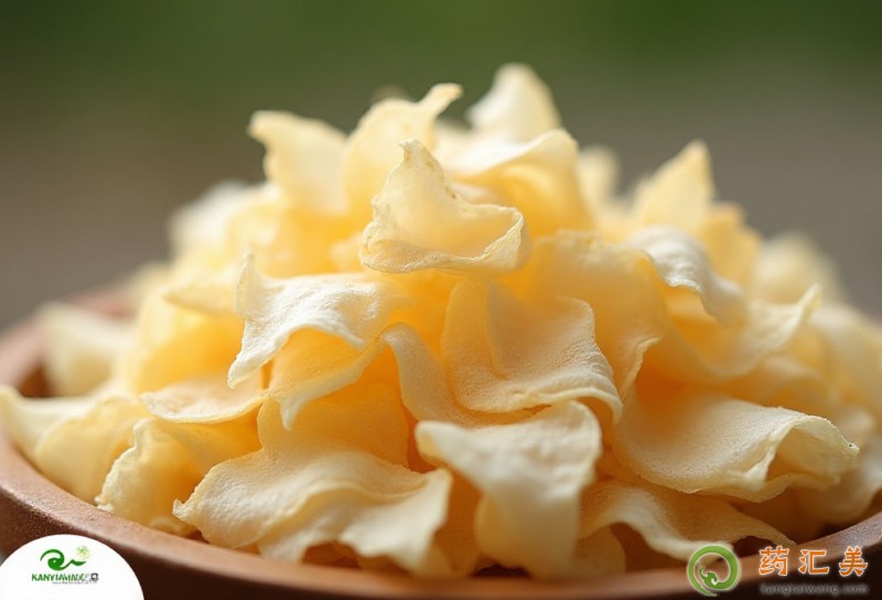 ���y����ʲô��̎