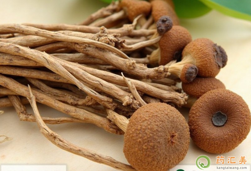 吃茶樹菇能補腎嗎 吃茶樹菇能補腎嗎