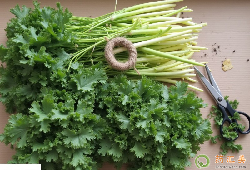 膽結石能吃雪里蕻嗎 膽結石能吃雪里蕻嗎