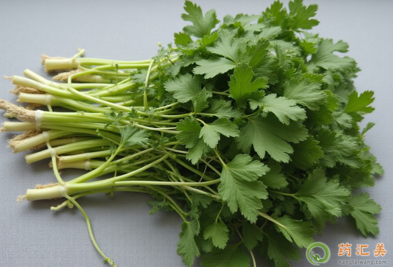 �������ܳ���ˆ�