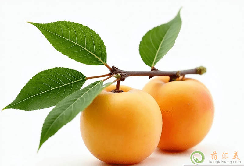 �S�ҵĹ�Ч�c����