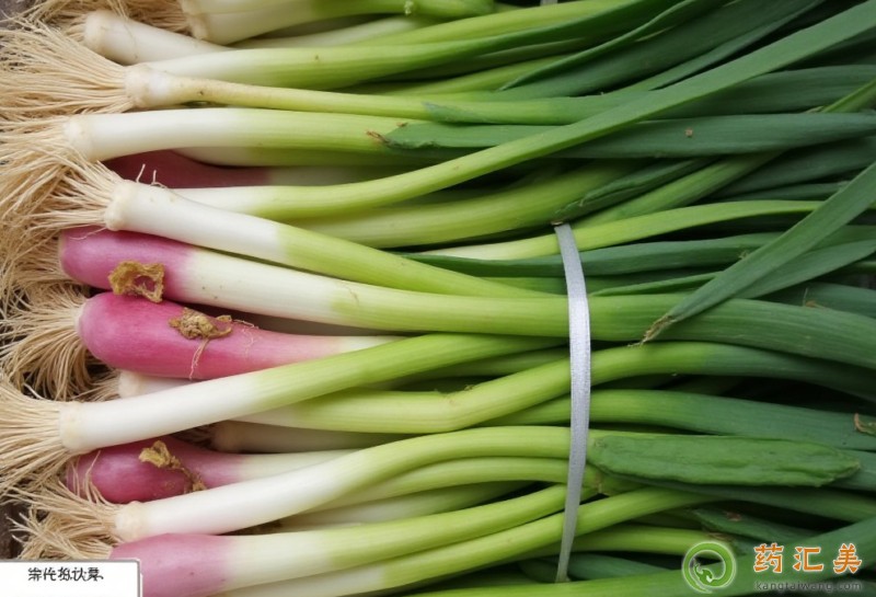 ��������ʲô��̎