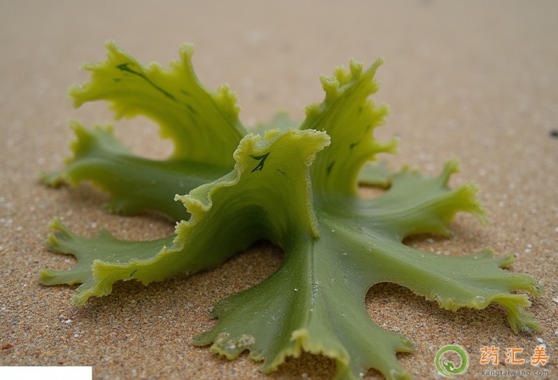 胰腺炎能吃海藻嗎 胰腺炎能吃海藻嗎