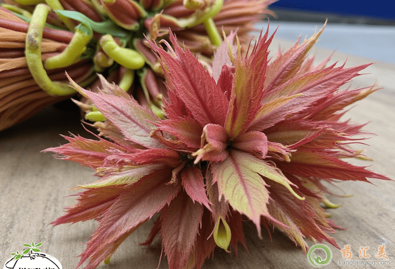 �㴻�Ĺ�Ч�c����