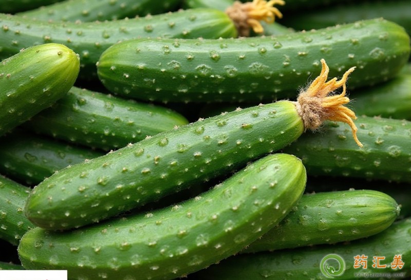 �ڳ����S�Ϻ�