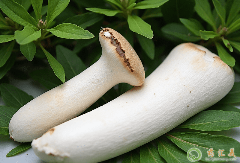 ���U���ĠI�B�rֵ