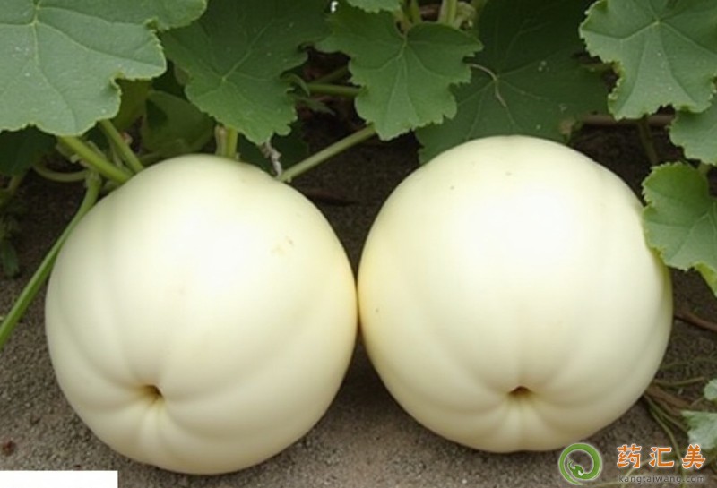 �����׳�Ժ���ܳ���φ�