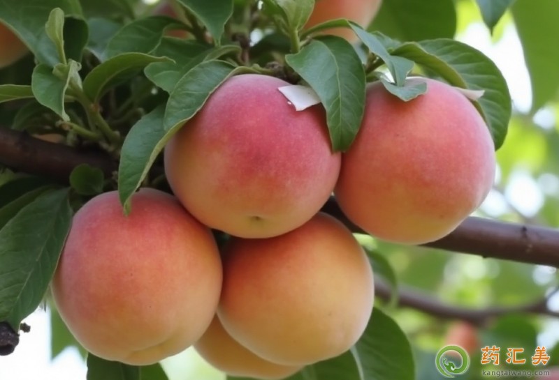 �����׻֏��ڳ����Ӻ�