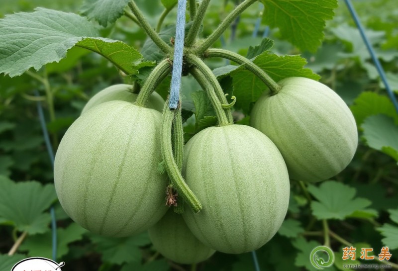 �����׻֏����ܲ��ܳ����