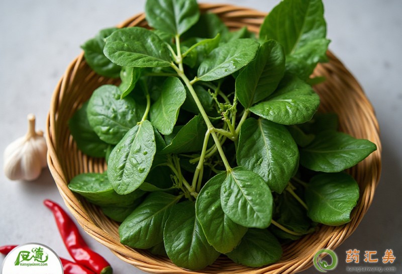 ʧ���ܳ�ľ���ˆ�