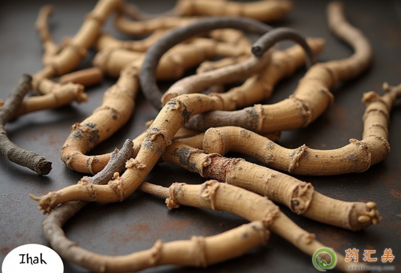 可以補(bǔ)腎壯陽的中藥有哪些 可以補(bǔ)腎壯陽的中藥有哪些